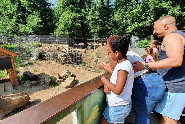 Das Füttern von Ziegen mit speziellem Futter war ausdrücklich erlaubt. Auch Yaelle Alworth aus Opladen nutzte die Gelegenheit, als sie mit ihren Eltern Timothy und Diana, außerdem mit ihrem kleinen Bruder Jahim beim Kindertag im Wildpark zu Besuch war.  | Foto: Gabi Knops-Feiler