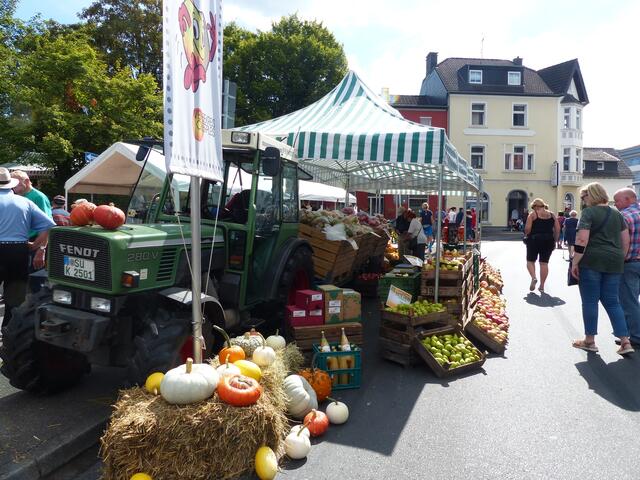 Jede Menge Äpfel sowie anderes Obst und Gemüse gab es an den Ständen zum Probieren und Erwerben. Zahlreiche Besucher nutzten diesen Sommertag zu einem Besuch in Oberpleis. | Foto: Zumbusch