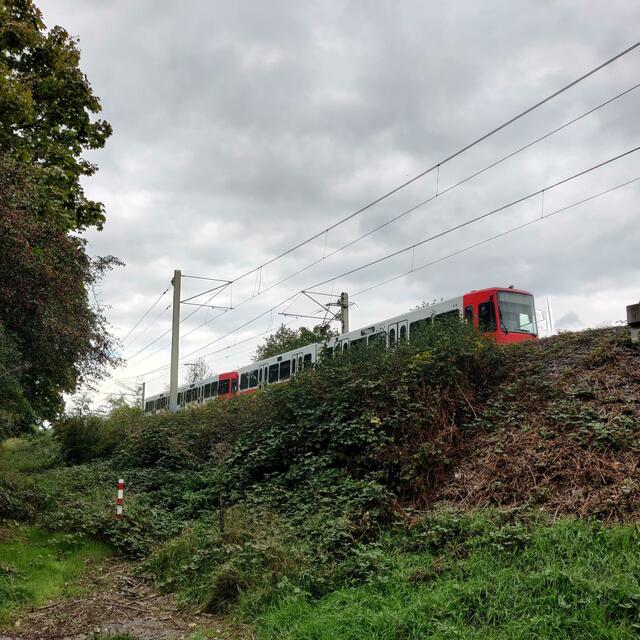Ein ehemaliger Versorgungsweg neben der Bahntrasse der Linie 16 – hier beim Wasserwerk in Urfeld -, welcher sich für die Wegführung der Fahrradstraße gut eignen könnte.  | Foto: Tjade Fulda