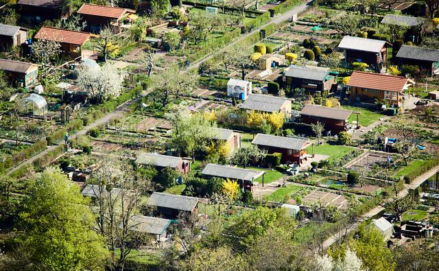 Foto: (Symbolfoto) Axel/stock.adobe.com