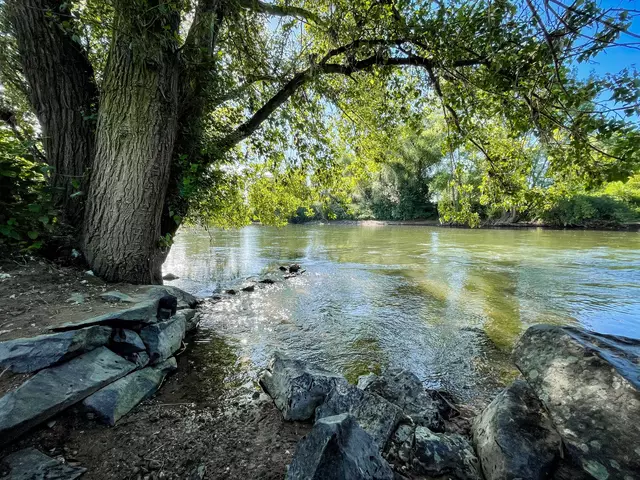 Zu den Ausflugstipps gehören natürlich auch Ausflüge an die Sieg, hier auf Höhe des Sieglarer Sees.  | Foto: Christine Siefer / Stadt Troisdorf