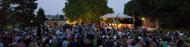 Freunde von Live-Musik unter freiem Himmel kommen im August am Alten Zoll auf ihre Kosten.  | Foto: Bundesstadt Bonn