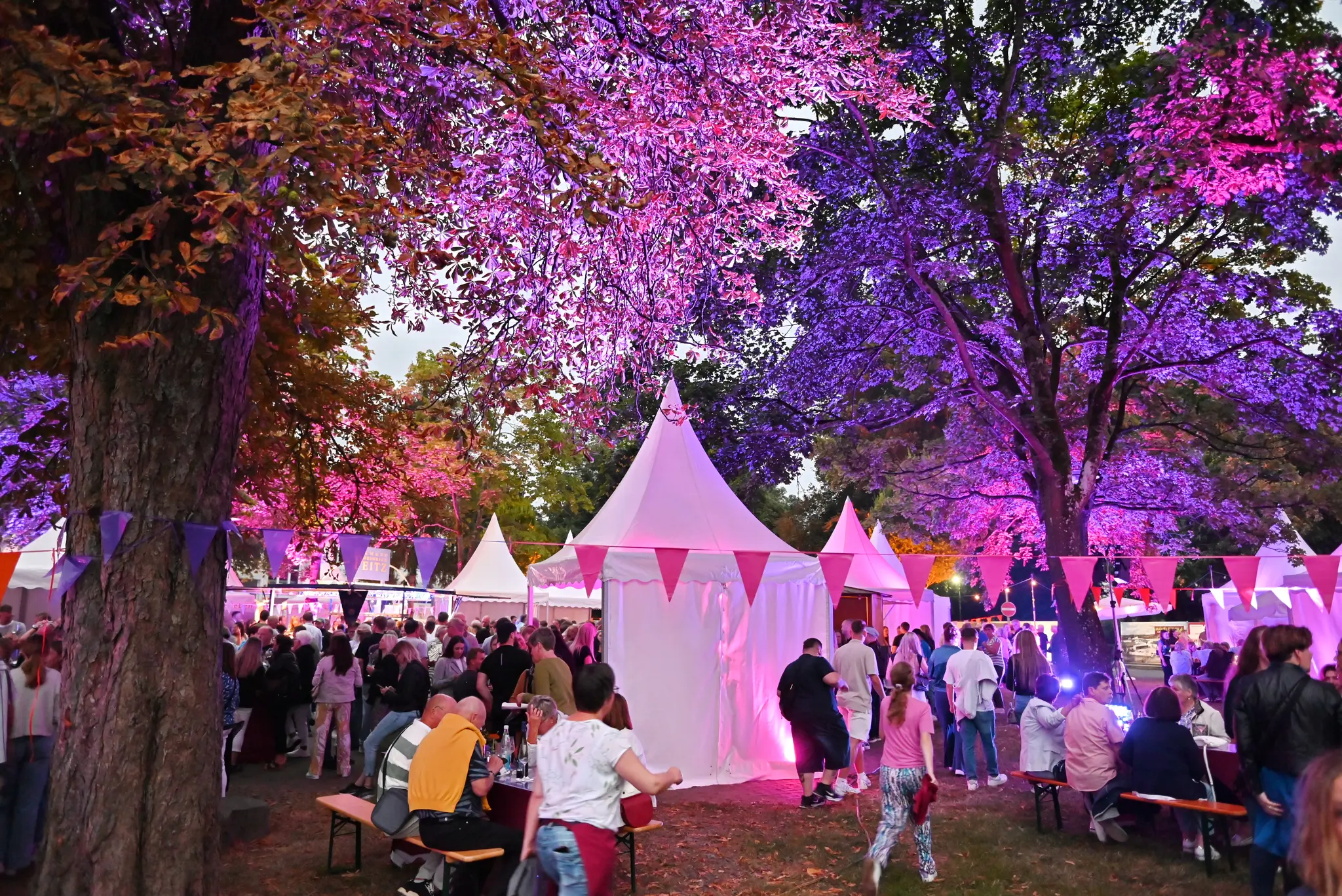 Weinfest in Eitorf