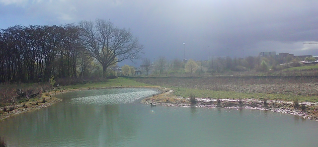 Die Natur am Butterberg.        | Foto: Stadt Sankt Augustin