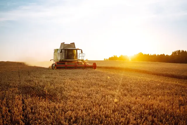 Die Erntezeit beginnt. Der Rheinische Landwirtschafts-Verband bittet um mehr Aufmerksamkeit auf Straßen sowie Feld- und Wirtschaftswegen. | Foto: Symbolbild/Stock/Adobe.com/ maxbelchenko