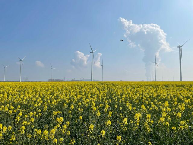 In die Windenergie, wie hier auf der Königshovener Höhe bei Bedburg, will der RWEKonzern auch in andere alternative Energien investieren. | Foto: Stadt Bedburg
