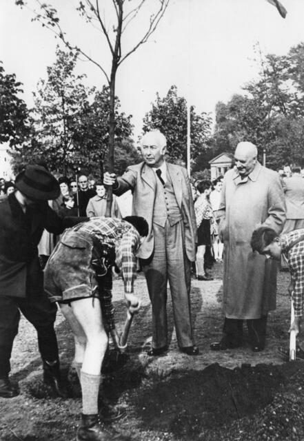 Damals war er sieben: Das Setzen des heute 77-jährigen Baums durch Prof. Theodor Heuss.