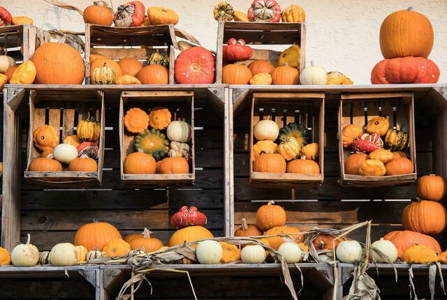 Viel frische Ware von Feld und Garten findet sich auf dem Kerpener Bauernmarkt, mit der die Aktionsgemeinschaft Kolpingstadt Kerpen in den Herbst geht. | Foto: Pixabay