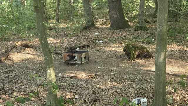 Müll, Glasflaschen und einen großen Grill entdeckten Spaziergänger auf der anderen Seite von Buschhoven im Wald – während wenige Kilometer entfernt noch die Löscharbeiten liefen.  | Foto: red