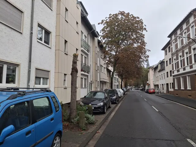 Im August war die Krone dieses Baumes in der Hermannstraße herabgestürzt. Nach einer Überprüfung müssen nun elf weitere Bäume in der Hermannstraße aus Sicherheitsgründen gefällt werden. | Foto: jld