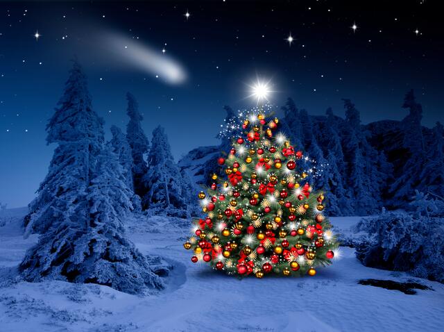 Wer schmückt den Super-Weihnachtsbaum 2022? 
                                                                      | Foto: stockadobe.com/by-studio