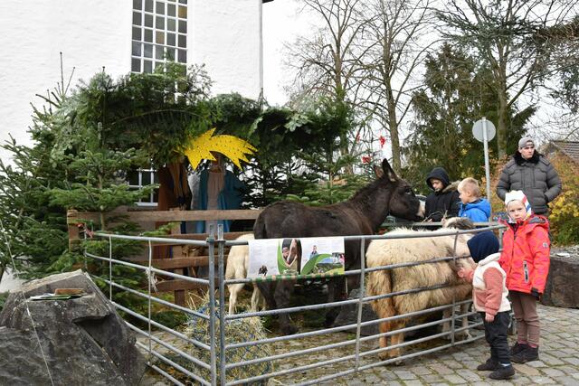 „Lebendige“ Krippe zum Anfassen - auch wenn nur die Tiere echt sind.  | Foto: Christel Franke