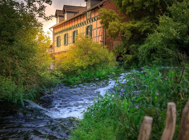 Wasser, vor allem das der Erft, rückt der Geschichtsverein dieses Jahr in seinen Angeboten in den Fokus. | Foto: W. Albrecht