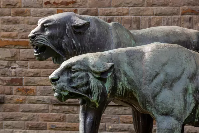 Der Kunstspaziergang führt auch zur Bronzeskulptur „Zwei Tiger“ von Erdmann Scholz aus dem Jahr 1959.  | Foto: Joachim Gies
