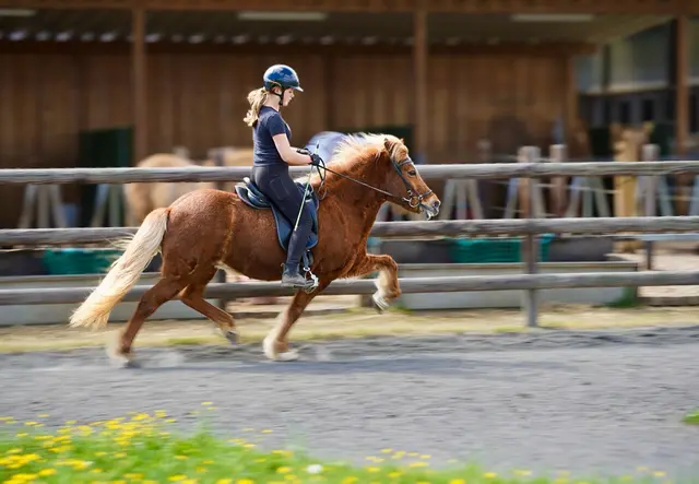 Foto: Hanna Schumacher/Veybachhof