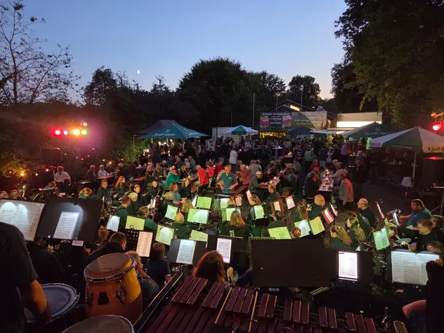 Der Musikverein überzeugt mit gekonnt gespieltem großen Repertoire.  | Foto: Musikverein Heddinghausen
