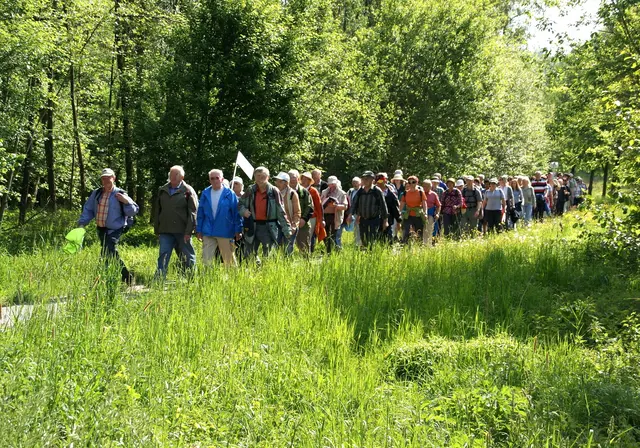 Der Eifelverein Mechernich lädt in den kommenden Wochen zu vier abwechslungsreichen Touren ein. Sie führen durch stille Täler, auf historische Spuren und mitten hinein in den Nationalpark Eifel.  | Foto: Symbolbild/Ruth Weitz/pixabay/pp/Agentur ProfiPress