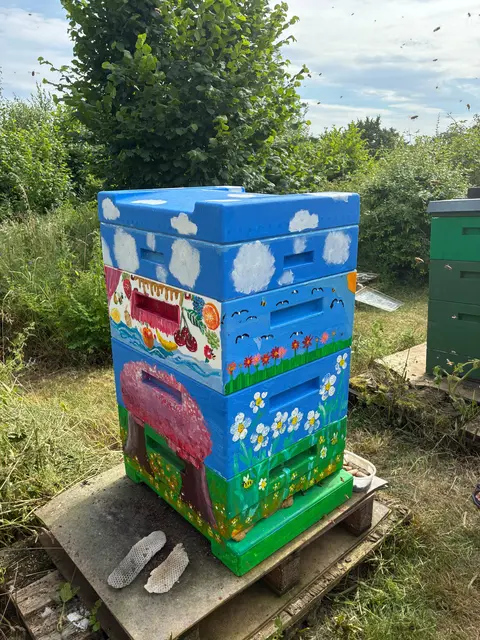 Das farbenfroh gestaltete Bienenhaus.  | Foto: Amy Pauline Hilgermann