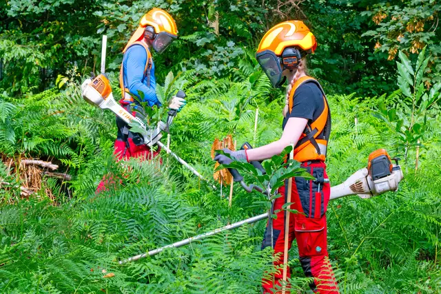 Die Arbeit der Forstfachleute im dichten Bewuchs und bei hochsommerlichen Temperaturen ist nicht nur körperlich eine Herausforderung, sondern erfordert auch viel Fachwissen. | Foto: S. Engst/stadt Bonn