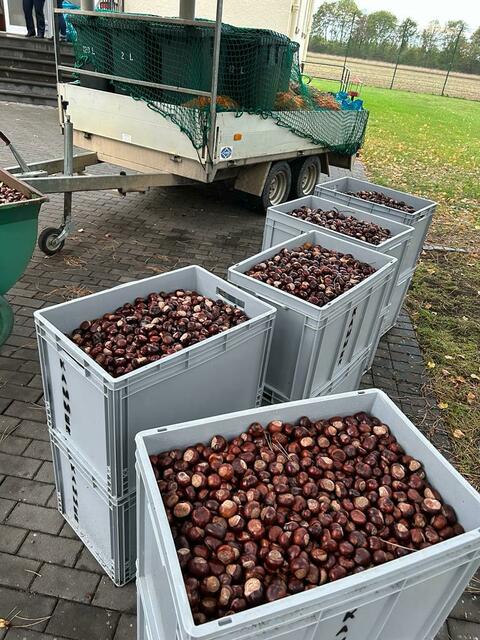 Foto: JVA Euskirchen