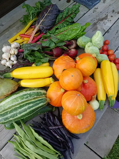 Wie man Gemüse haltbar macht, lernen die Teilnehmenden im Workshop. | Foto: Cornelia Hacker