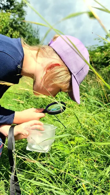Die teilnehmenden Kinder des Sommerferienprogramms hatten sechs Wochen lang vieles zu entdecken.  | Foto: Stadt Bornheim