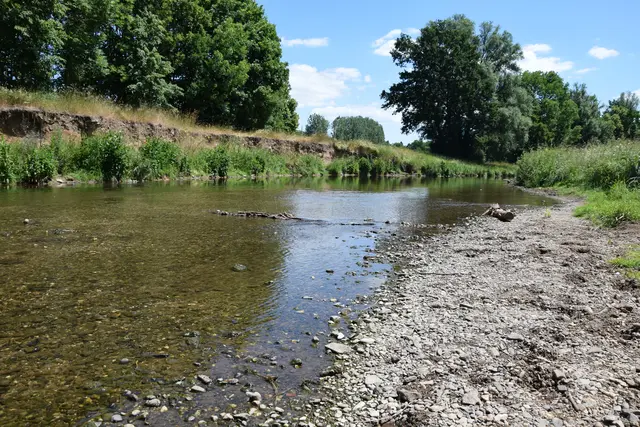 In vielen Wasserläufen im Kreisgebiet sind die Pegel deutlich gesunken. Daher untersagen Bezirksregierung und Rhein-Erft-Kreis die Wasserentnahme aus Erft und anderen Fließgewässern. | Foto: RAG