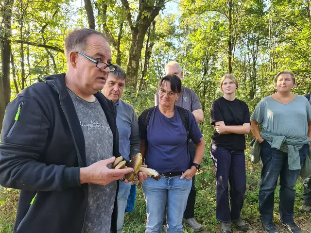 Großes Interesse zeigten die Teilnehmenden bei der Pilz-Lehrwanderung des NABU Morsbach. | Foto: Buchen