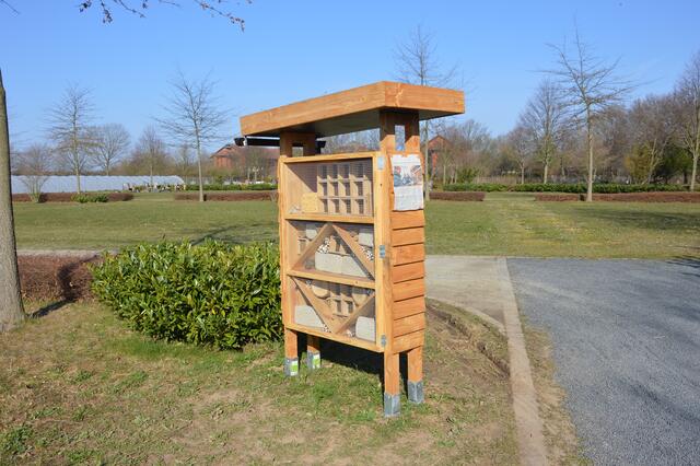 Schon wenige Tage, nachdem die Nistwand auf dem Friedhof aufgestellt wurde, sind die „Zimmer“ in dem Insekten-Hotel gut ausgebucht.  | Foto: jld