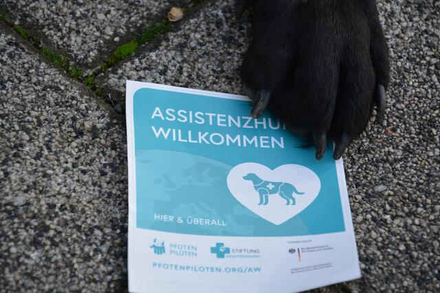 Die Kreisstadt Bergheim weist jetzt an allen öffentlichen Gebäuden darauf hin, dass eingeschränkte Menschen ihre vierbeinigen Helfer mitbringen dürfen. | Foto: Kreisstadt Bergheim
