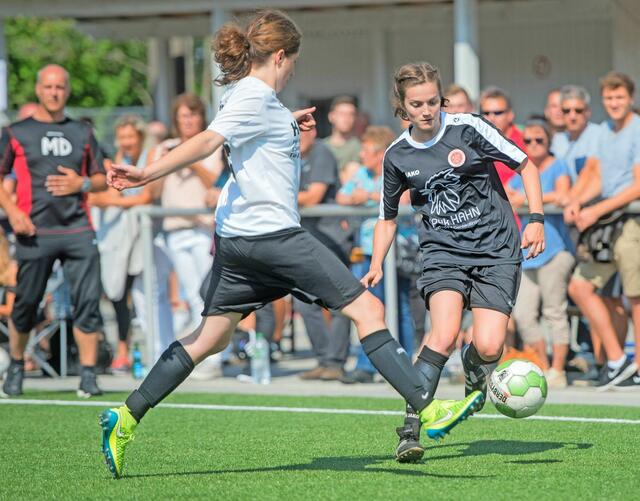 Foto: Tom Steinicke