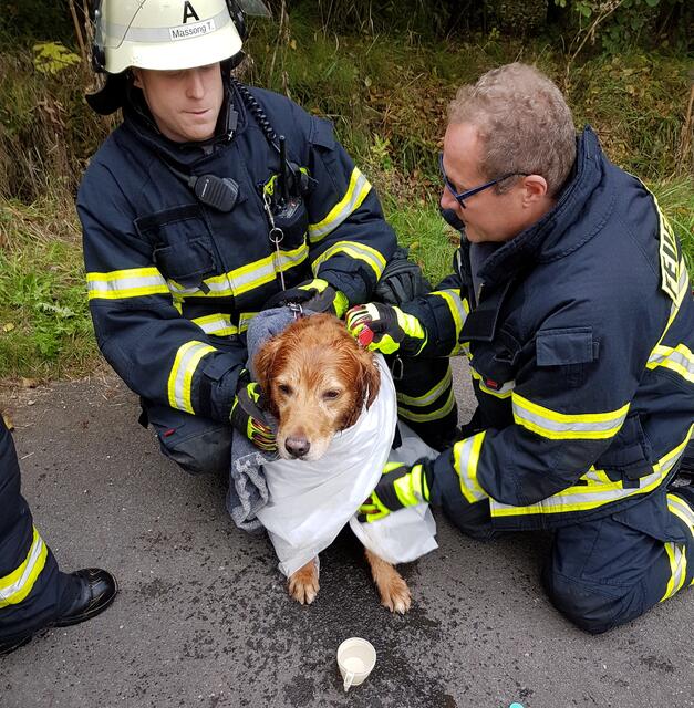 Schnuffs Schutzengel in Uniform von der Löschgruppe Mechernich päppelten ihn nach der Rettung wieder auf. | Foto: Markus Kurtensiefen/Feuerwehr Mechernich/ProfiPress