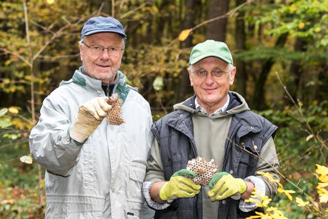 Dass sich in den Nistkästen auch schon mal Waben z.B. von Hornissen oder Wespen befinden können, zeigen Jürgen Langkau (l.) und Martin Koldehoff eindrucksvoll. | Foto: who