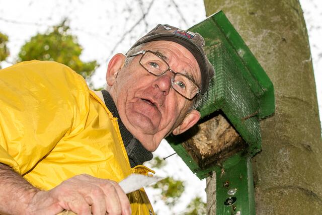 Werner Krips hat einen Nistkasten geöffnet und mit dem Spachtel gesäubert. Hinterher wird alles mit dem Anti-Milbenspray ausgesprüht.  | Foto: who