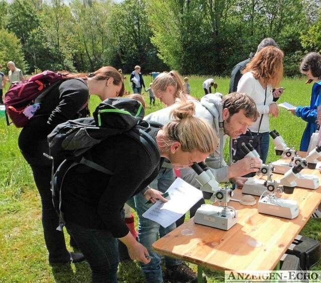 Foto: Gunter Hübner