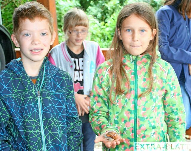 Foto: Röhrig