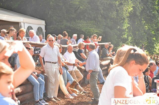 Foto: Christin Schneider