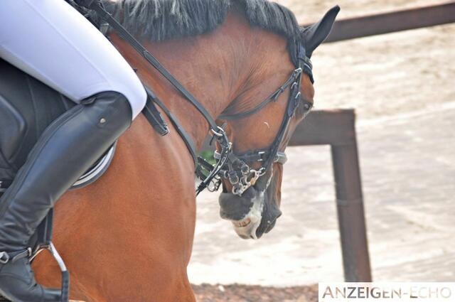 Foto: Christin Schneider