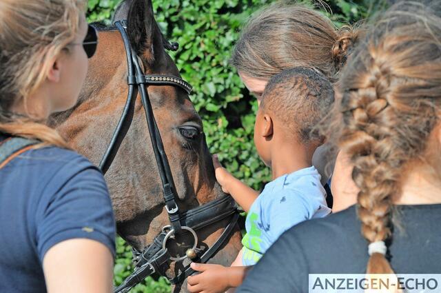 Foto: Christin Schneider