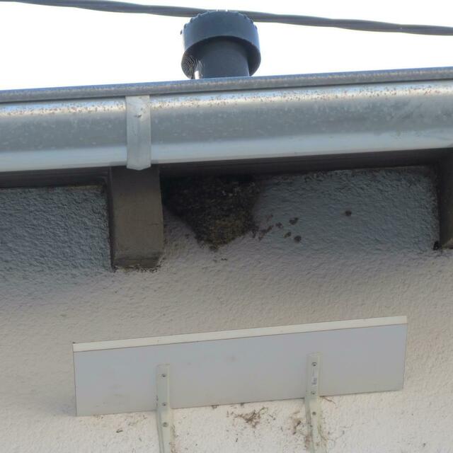 Mit einem an der Hauswand angebrachten Kotbrett, das man auch direkt an den Dachbalken befestigen kann, wird die Fassade geschützt. | Foto: Kreis Euskirchen