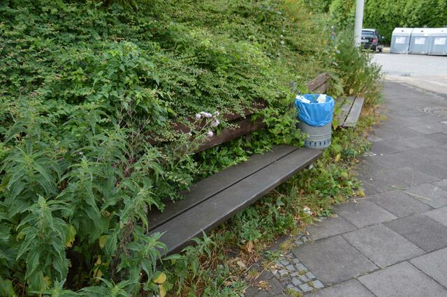 Nicht wirklich zum Verweilen laden diese beiden zu gewucherten Parkbänke an der Blindgasse ein. Der meist überfüllte Abfalleimer, die vielen Zigarettenkippen und herumliegender Hundekot - manchmal in Tüten, manchmal auch nicht - tun ihr Übriges, um den Erholungsfaktor dieser Ruhezone gering zu halten.  | Foto: Lars Kindermann