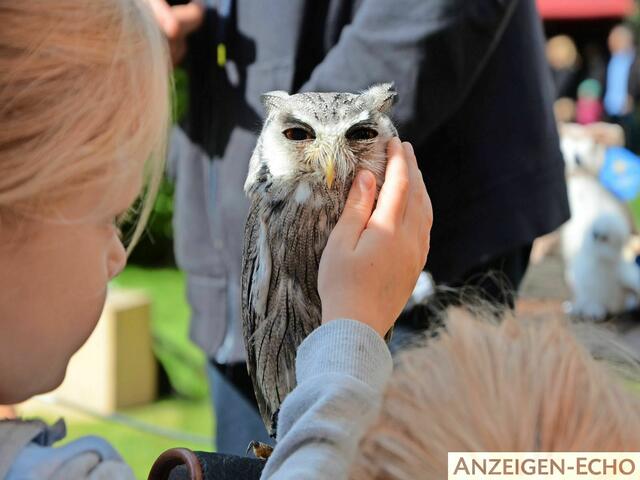 Foto: Ulrich Niepenberg
