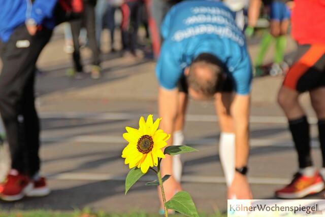 Foto: Surmann
