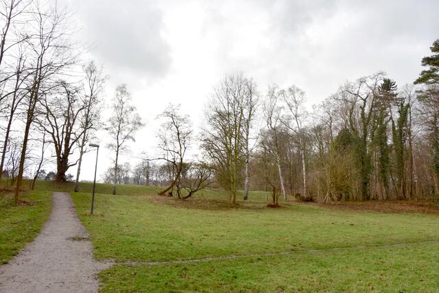 Auf dieser Wiese soll nach den Plänen des Bürgervereins das Mahnmal errichtet werden. | Foto: tau