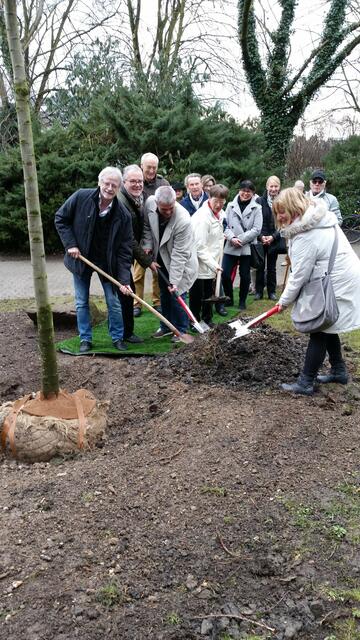 Die Esskastanie wurde am Partnerschaftsweg eingepflanzt und bildet den Anfang des neuen Baumlehrpfades. | Foto: Altrichter