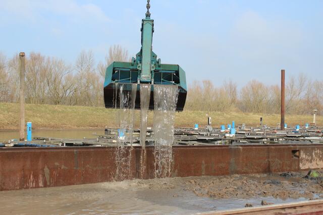 Ohne die Baggerarbeiten würden die Teiche vor der Groov wohl früher oder später verlanden. Damit das nicht passiert, lässt der Club für Wassersport rund 8.000 Tonnen Schlamm aus dem Hafenbecken holen. | Foto: Flick