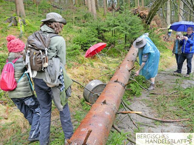 Hindernisse sind kein Problem! | Foto: Ute Roggendorf