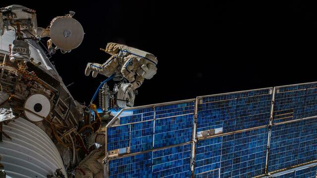 ICARUS: Von Tierverhalten mehr über unseren Planeten lernen. | Foto: Deutsches Zentrum für Luft- und Raumfahrt (DLR),