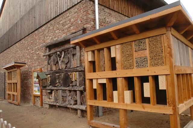 Anschaulich informiert der Wildbienenerlebnispfad über die verschiedenen für Wildbienen geeignete Behausungen. | Foto: pk