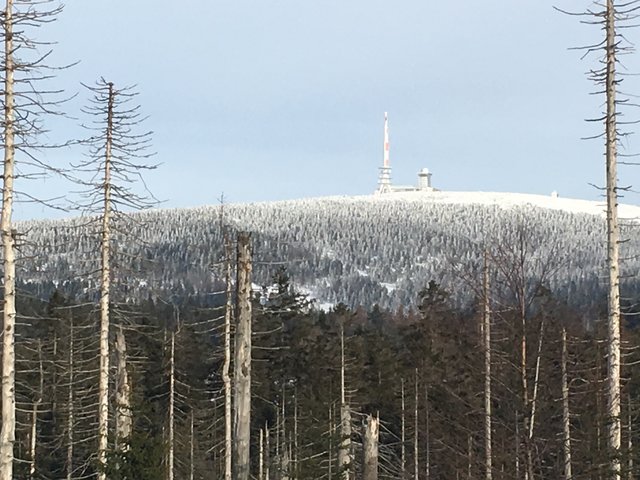 im Nationalpark zum Brocken